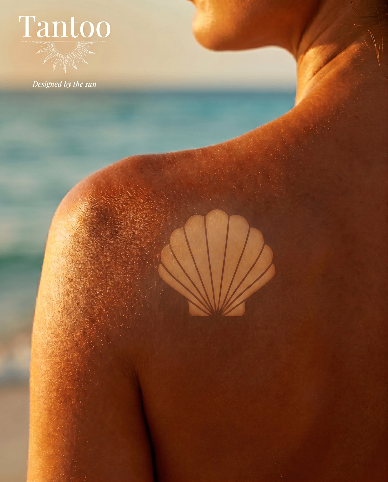 Sea Shell